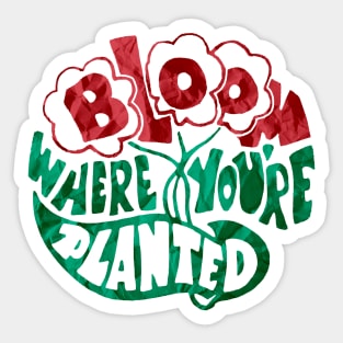 Bloom Where You Are Planted Sticker